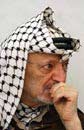En la muerte de Arafat: SEMBLAZA